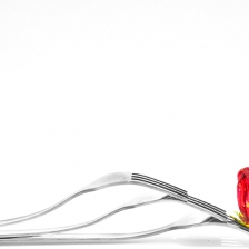 3 Fork and Rosella Flower by Syahrul Sandjaya
